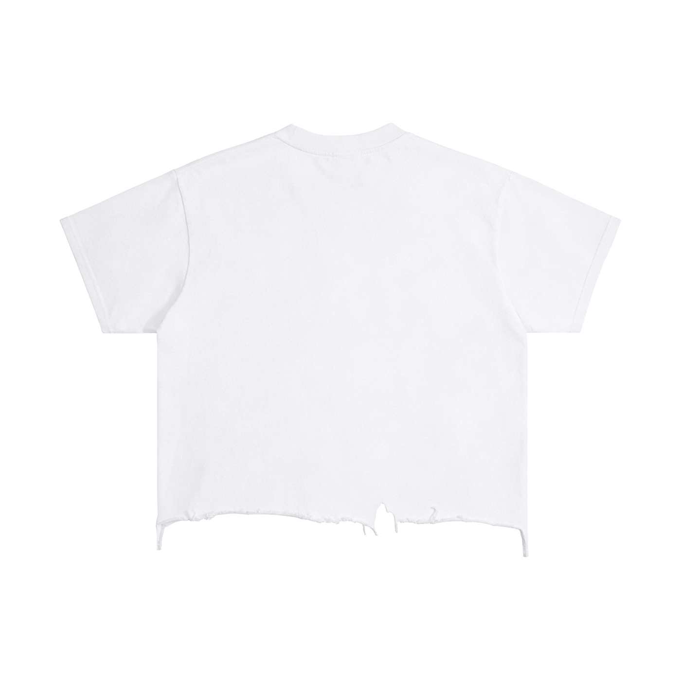 Brown Eyed Trouble — Vintage Wash Boxy Distressed Tee